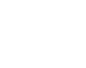 APDI logo